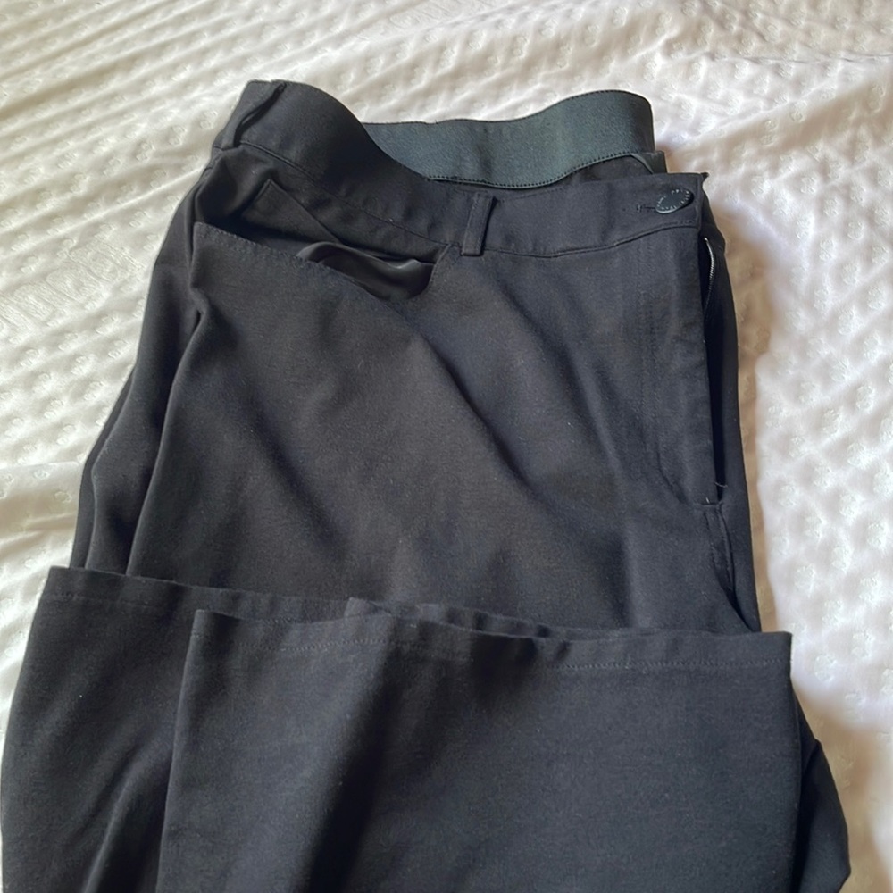 Business pants Lane Bryant 24